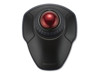 Pointing Devices –  – K70995CA