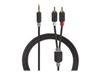 Specific Cables –  – CABW22200AT05