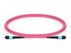Fiber																								 –  – LVO230403-MTP