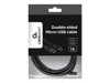 Cables USB –  – CC-USB2-AMmDM-6