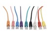 双绞线电缆 –  – PP12-1M/G