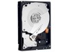 Server Hard Drives –  – 09JYJ