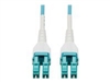 Patch Cables –  – N821-15M-AQ-AR