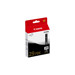 Ink Tanks –  – PGI29PBK