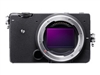 Mirrorless System Digital Cameras –  – C43900