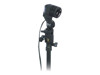 Studio Light –  – 690019