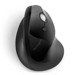 Mouse –  – 27448 - K75501WW