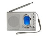Portable Radios –  – RDWR1000GY