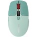 Mice –  – CNS-CMSW26GR