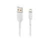 Spezifische Kabel –  – CAA002BT1MWH