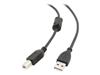 USB-Kablar –  – CCF-USB2-AMBM-15