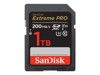 Flash kartice																								 –  – SDSDXXD-1T00-GN4IN