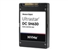 SSD, Solid State Drives –  – 0TS1620