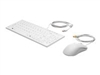 Комплекты: клавиатура + мышка –  – 1VD81AA