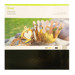 Diverses –  – 2005490