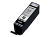 Ink Tanks –  – PGI670XLBK