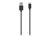 USB-Kabel –  – F2CU012BT04-BLK