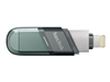 Flash drives –  – SDIX90N-256G-GN6NE