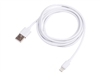 Specific Cables –  – AK-USB-31