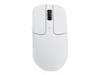 Mice –  – M2-A24