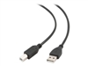 สายเคเบิล USB –  – CCP-USB2-AMBM-15