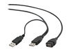 USB Kabels –  – CCP-USB22-AMAF-3