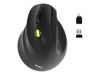 Mice –  – 910008