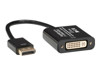 Peripheral Cables –  – P134-06N-DVI-V2
