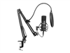 Microphones –  – 126-07