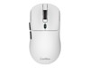 Mice –  – COO-MOU-W03-W