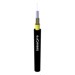 Otros –  – LP-IOC-SMF-R-06