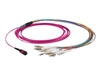 Patch Cables –  – MTPF12LCOM4-2