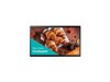 Monitor Komputer –  – QB24C-T