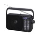 Bærbare Radioer –  – RF-2400DEG-K