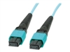 Fiber Cables –  – MTP12OM3-075