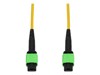 Crossover Cables –  – ADD-MPOMPO-2M9SMFP