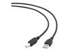 สายเคเบิล USB –  – CCP-USB2-AMBM-1M