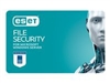 Network Security Software –  – EFS1R11+