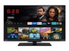 LCD-Fernseher –  – 24WF3F63DA