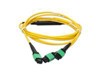 Crossover Cables –  – MFP7E40-N015-AO