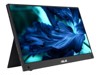 Monitores Touchscreen –  – 90LM0890-B01170