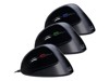 Mice –  – iMouse E7