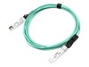 สายเครือข่ายพิเศษ –  – FN-CABLE-SFP28-AOC-5-AX