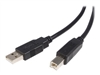 USB kabeli –  – USB2HAB10