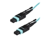 Special Network Cables –  – MPO12PL2M