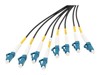 Fiiber –  – DK-2A338U100BK-BBB