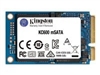 SSD, Solid State Drives –  – SKC600MS/256G