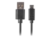 USB кабели –  – CA-USBM-20CU-0010-BK