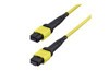 Patch Cables –  – OS2MTP16BOFNP1M