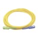 Otros –  – LP-FO-SCU-SCA-03